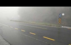 Bolu Dağı'nda sağanak ve sis etkili oluyor