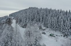 GİRESUN - Yaban hayvanları için doğaya yem bırakıldı