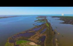 Kıyı erozyonu Kızılırmak Deltası'nın geleceğini tehdit ediyor