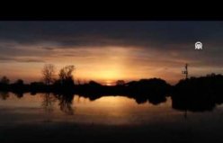 Kızılırmak Deltası'nda gün doğumu