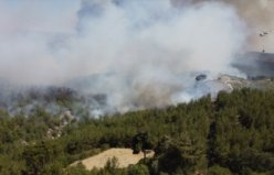 MANİSA - Gördes'te orman yangını (5)