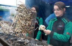 RİZE - Üç günde ayıklanan 2,5 ton hamsi festivalde 2 saatte tüketildi