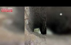 Rüyasında gördüğü için tünel kazarak define arayan anne ile oğlu yakalandı