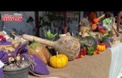 Samsun'da “Atakum Tarım Şenliği“ düzenlendi