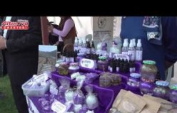 Samsun'da “Atakum Tarım Şenliği“ sona erdi