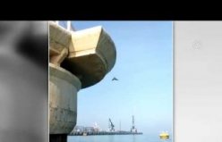 Samsun'da ayağına misina dolanan martıyı deniz polisi kurtardı