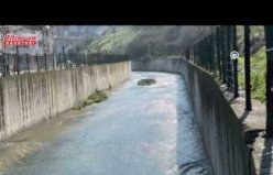 Samsun'da bir kişi derede ölü bulundu