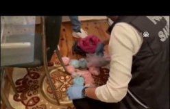 Samsun'da buzdolabı, gardırop ve ayakkabılığa gizlenmiş uyuşturucu ele geçirildi