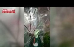 Samsun'da dolapta iklimlendirme sistemi kurup uyuşturucu üreten 3 zanlı yakalandı