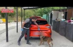 Samsun'da elektrikli süpürgeye saklanan uyuşturucu “Pera“nın hassas burnundan kaçmadı