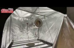 Samsun'da evinde iklimlendirme sistemiyle kenevir yetiştiren şüpheli yakalandı