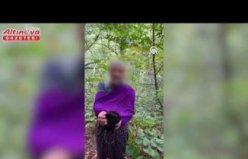 Samsun'da fındık bahçesine kenevir ektikleri iddia edilen baba oğul tutuklandı