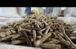 Samsun'da kenevir sapından yüksek kalorili yakıt üretildi