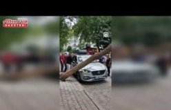 Samsun'da kökünden kopan ağaç otomobilin üzerine devrildi