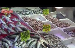 Samsun'da olumsuz hava koşullarının düzelmesiyle balık tezgahları yeniden şenlendi