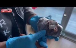 Samsun'da oyuncak ayının içine gizlenmiş uyuşturucu ele geçirildi