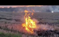 Samsun'da tarım arazisinde çıkan yangın söndürüldü