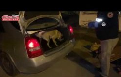 Samsun'da uyuşturucu operasyonunda 15 şüpheli yakalandı