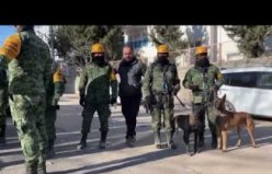 Uluslararası arama kurtarma ekipleri deprem bölgelerinde çalışmalara katkı veriyor