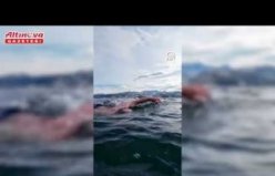 Vali Serdengeçti, Karadeniz’in güzelliğine yüzerek dikkat çekti