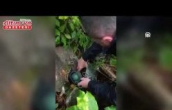 Yakakent'te bıldırcınla kaçak avcılık yapan şüpheli yakalandı