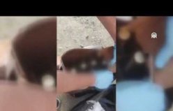 Yakakent'te kaçak alkol ve sigara operasyonunda 4 şüpheli yakalandı