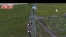 Alaçam'da yüksek gerilim hattına yuva yapan leylekler görüntülendi