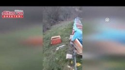 Bafra'da ayı arı kovanlarının çevresinde dolaşırken görüntülendi