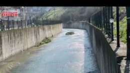 Samsun'da bir kişi derede ölü bulundu