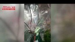 Samsun'da dolapta iklimlendirme sistemi kurup uyuşturucu üreten 3 zanlı yakalandı