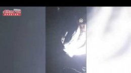 Samsun'da örtü yangınında alevlerin arasında kalan kaplumbağayı itfaiye kurtardı