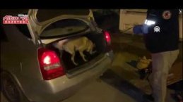 Samsun'da uyuşturucu operasyonunda 15 şüpheli yakalandı