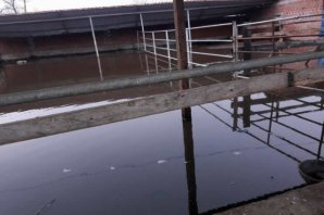 KÖYLÜLERİN TABAN SUYU ÇİLESİ