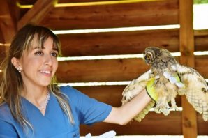 Yaban Hayvanları Uzanan Yardım Eliyle Hayata Döndü