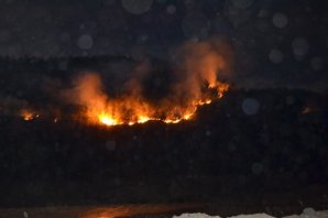 Yakakent'de Orman Yangını