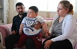 1,5 Yaşında, 32 Kilo Ağırlığında