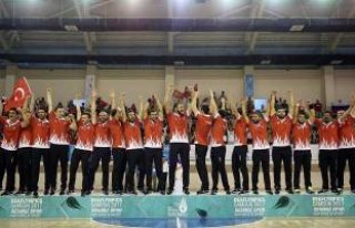 2017 İşitme Engelliler Olimpiyatları