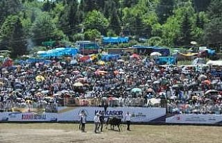 37. Kafkasör Kültür, Turizm ve Sanat Festivali...