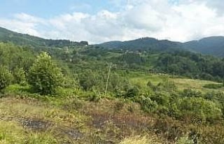 Abana'da örtü yangını