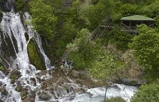 Aşırı sıcaklarda 40 gözlü şelaleye ziyaretçi...