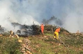 Bolu'da örtü yangını