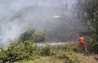 Düzce'de 20 dönüm fındık bahçesi yandı