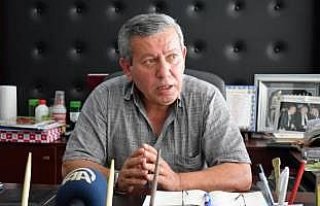 Fındıkta rekolte çalışmaları