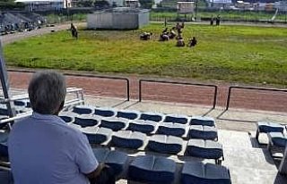 Güreş tutkusu mesafe tanımıyor