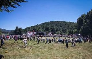 Şavşatlılar Domaniç Kocayayla'da buluştu