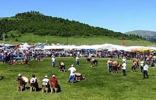 Uluvahta Yaylası Güreş ve Kültür Festivali