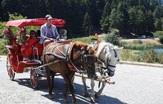 Abant'ta bayram tatili hareketliliği