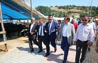 Canik Belediyesi Canlı Hayvan Pazarı törenle açıldı