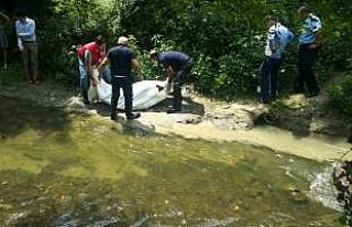 Düzce'de derede ceset bulundu