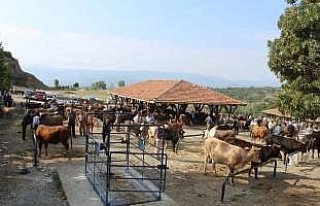 İkiz; Kurban Bayramı dolayısıyla bazı ek tedbirler...